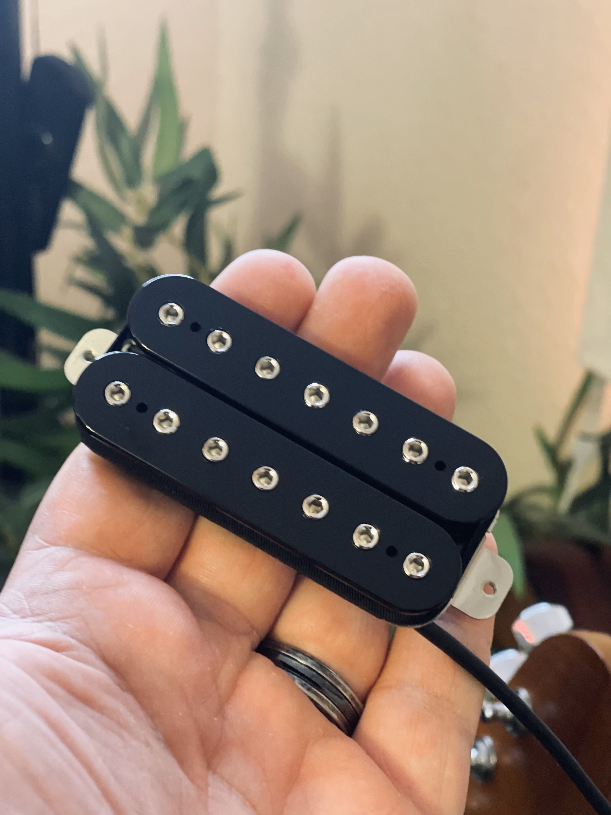 xBucker Boutique Guitar Pickups Colley Guitars